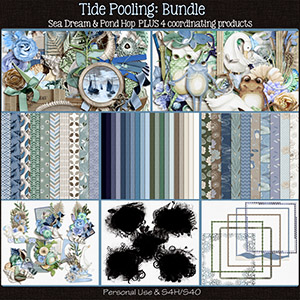 Tide Pooling Bundle by ADB Designs