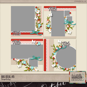 Big Deal #5 Templates by Aimee Harrison