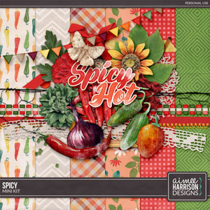 Spicy Mini Kit by Aimee Harrison