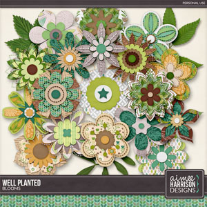 Well Planted Blooms by Aimee Harrison