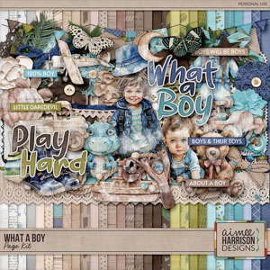 What a Boy Page Kit by Aimee Harrison