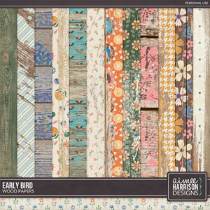 Early Bird Wood Papers by Aimee Harrison