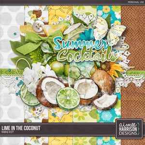 Lime in the Coconut Mini Kit by Aimee Harrison