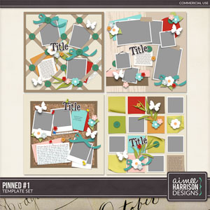 Pinned #1 Template Set by Aimee Harrison