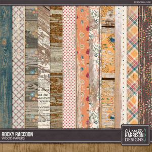 Rocky Raccoon Wood Papers by Aimee Harrison