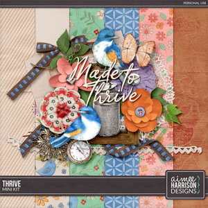 Thrive Mini Kit by Aimee Harrison