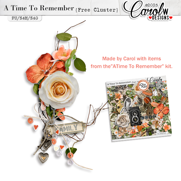 A Time To Remember Cluster for CarolW Designs