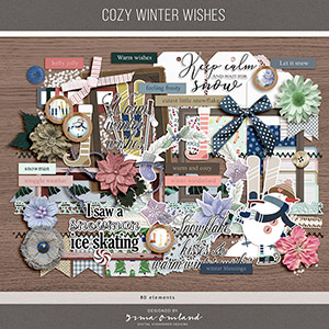 Cozy winter wishes | elements