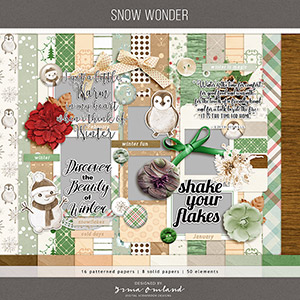 snow wonder | kit