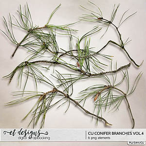 CU Conifer Branches vol.4