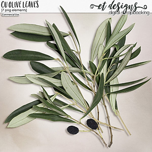 CU Olive Leaves