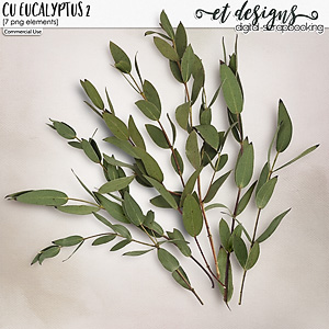 CU Eucalyptus vol.2