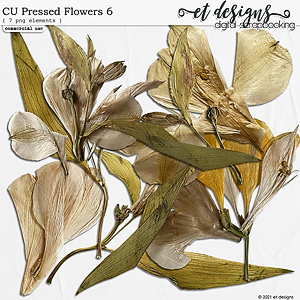 CU Pressed Flowers 6 by et designs