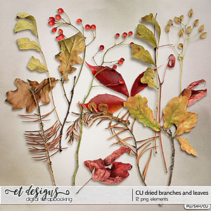 CU Dried Branches and Leaves