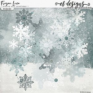 Frozen Lace Playing with Snowflakes by et designs