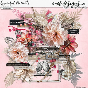 Graceful Moments Kit by et designs