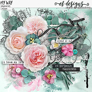 My Way Kit & Solids