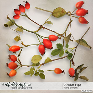 CU Rose Hips