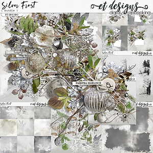 Silver Frost Bundle by et designs