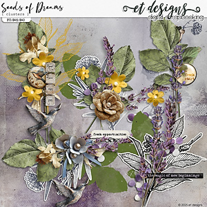 Seeds of Dreams Clusters by et designs