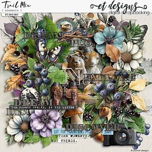 Trail Mix Elements by et designs