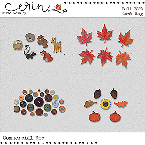 2024 Fall CU Grab Bag By Mixed Media by Erin