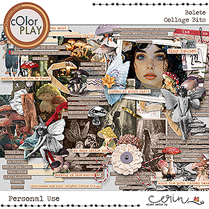 Bolete {Collage Bits} by Mixed Media by Erin