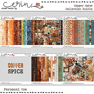 Copper Spice {Collection Bundle} by Mixed Media by Erin