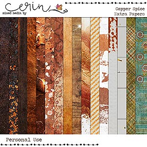 Copper Spice {Extra Papers} by Mixed Media by Erin