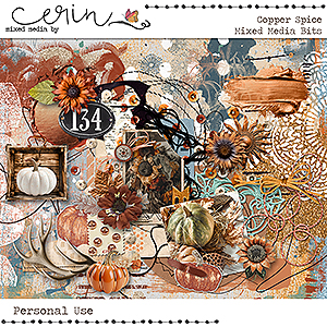 Copper Spice {Mixed Media Bits} by Mixed Media by Erin