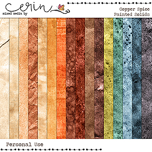 Copper Spice {Painted Solids} by Mixed Media by Erin