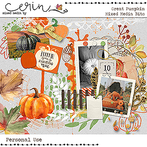 The Great Pumpkin {Mixed Media Bits} by Mixed Media by Erin