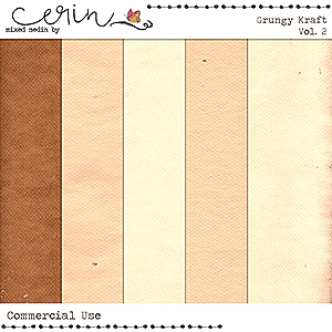 Grungy Kraft Vol 2 (CU) by Mixed Media by Erin