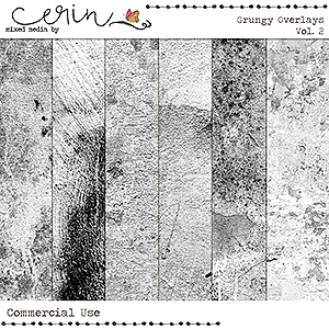 Grungy Overlays Vol 2 (CU) By Mixed Media by Erin