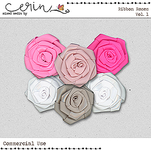 Ribbon Roses Vol 1 (CU) By Mixed Media by Erin