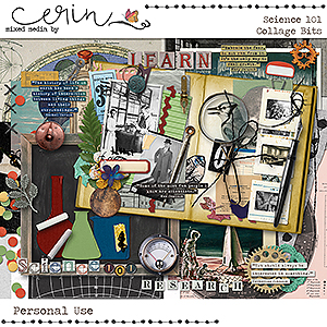 Science 101 {Collage Bits} by Mixed Media by Erin