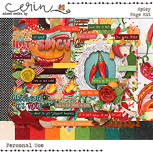 Spicy {Page Kit} by Mixed Media by Erin