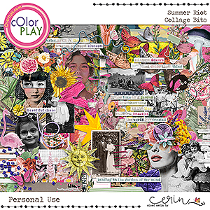Summer Riot {Collage Bits} by Mixed Media by Erin 