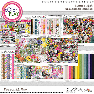 Summer Riot {Collection Bundle} by Mixed Media by Erin