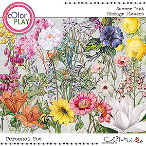 Summer Riot {Vintage Flowers} by Mixed Media by Erin