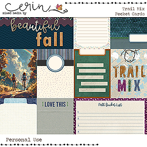 Trail Mix {Cards} by Mixed Media by Erin