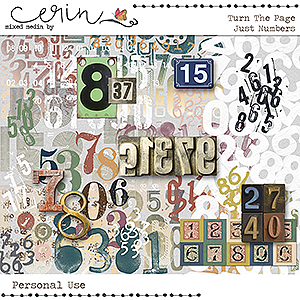 Turn the Page {Just Numbers} by Mixed Media by Erin