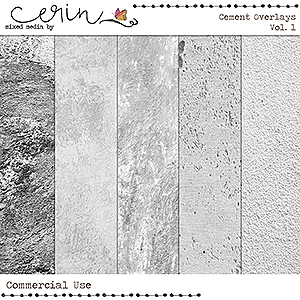 Cement Overlays Vol 1 (CU) By Mixed Media by Erin