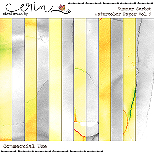 Summer Sorbet Vol 5 (CU) by Mixed Media by Erin