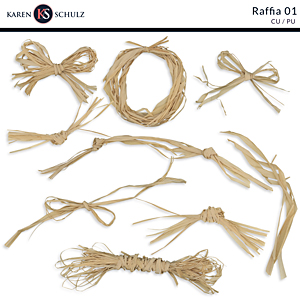 Raffia 01