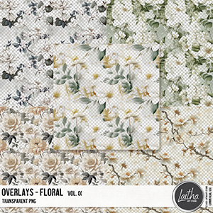 Floral Overlays Vol. 01