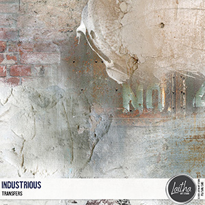 Industrious - Transfers