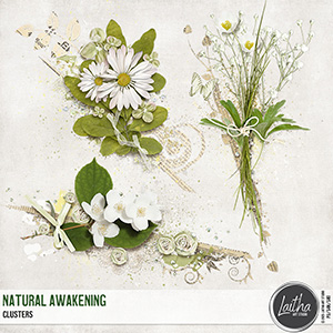 Natural Awakening - Clusters