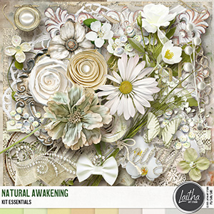 Natural Awakening - Kit Essentials