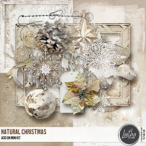 Natural Christmas - Add On Mini Kit